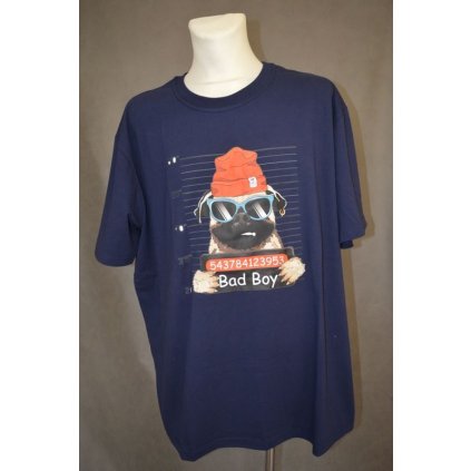 4170 Pánské triko s potiskem, vel. 4 XL(obvod 152 cm)