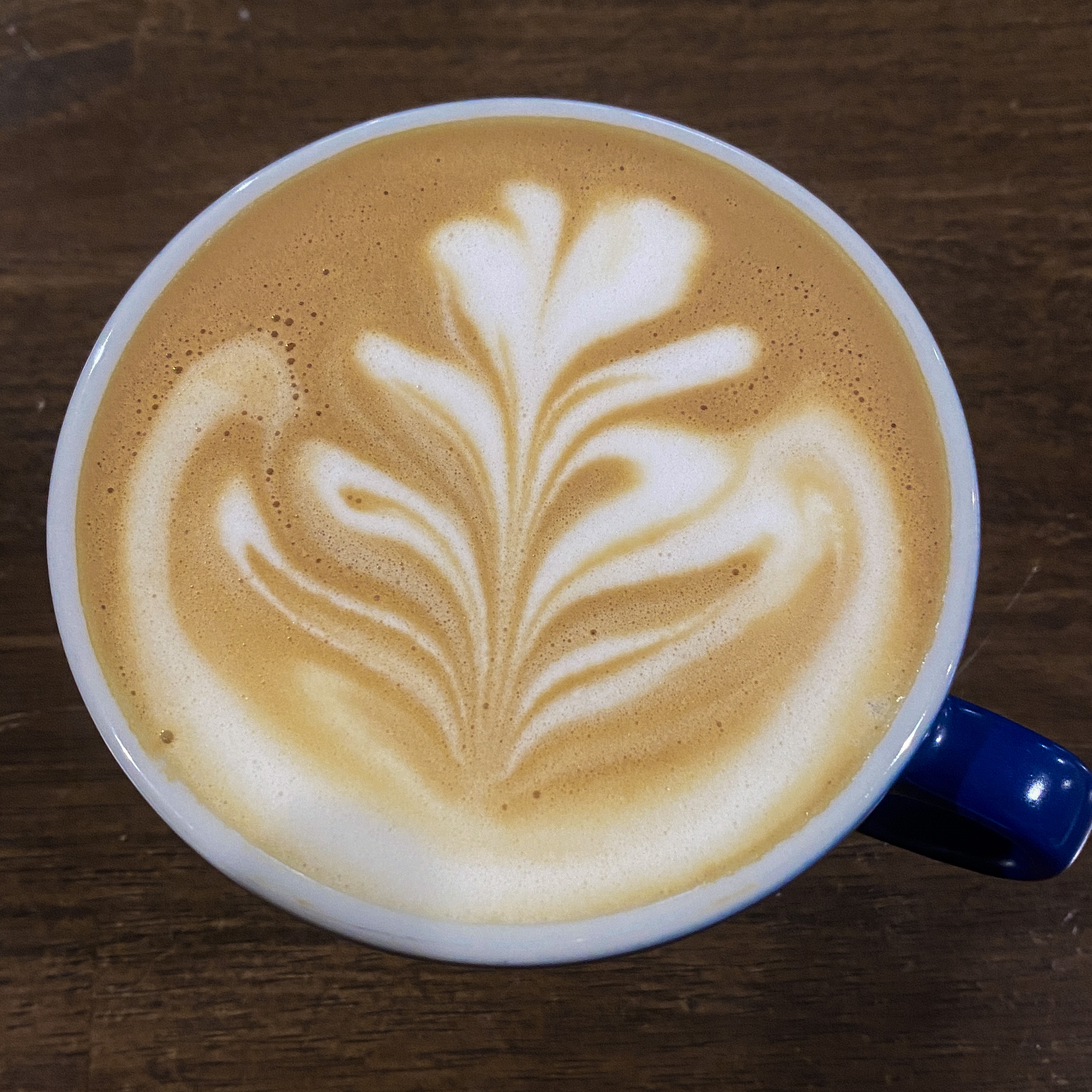 5 věcí, které musíte vědět před latte art