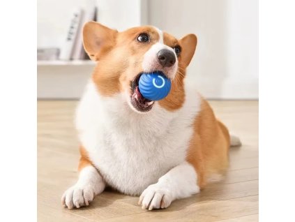 Interaktívna loptička pre psov