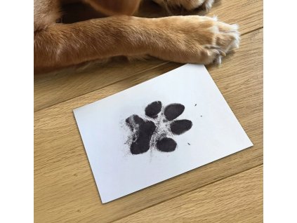 Sada pečiatok na odtlačky labiek