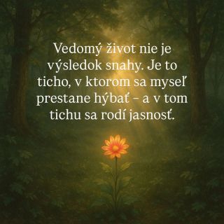 nadychticha.sk všetko pre tvoj vedomý život 🌸 #vedomyzivot #pritomnost #ticho #jasnost #nadychticha #duchovnyrast #mudrost...