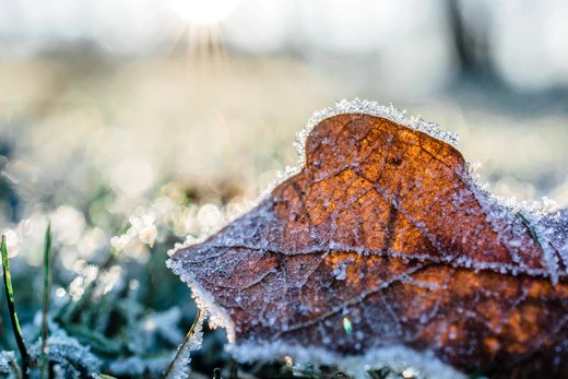 8 tipů jak zabránit vzniku vrásek, když teploty klesnou pod 5 stupňů