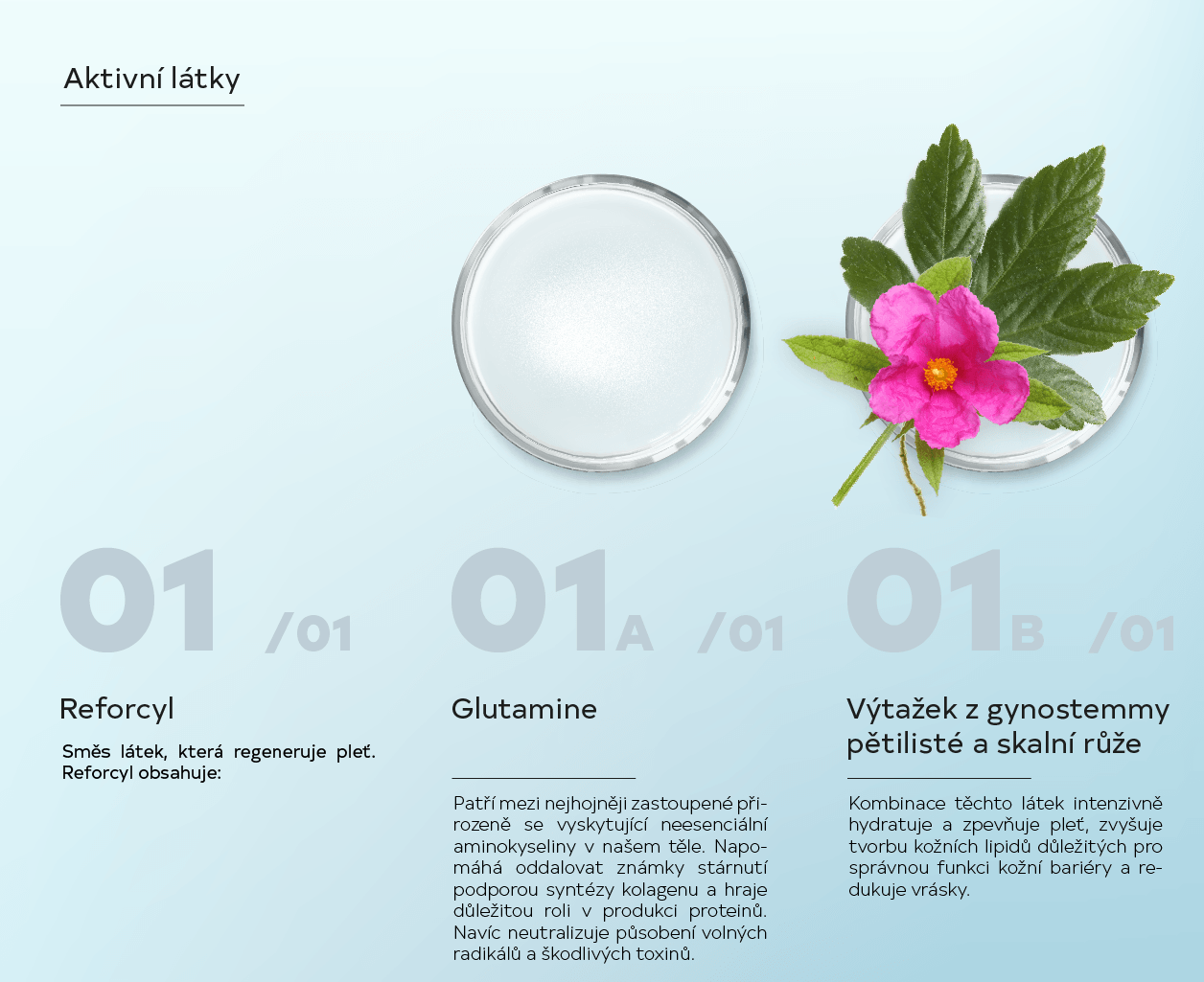 Hyaluron night cream