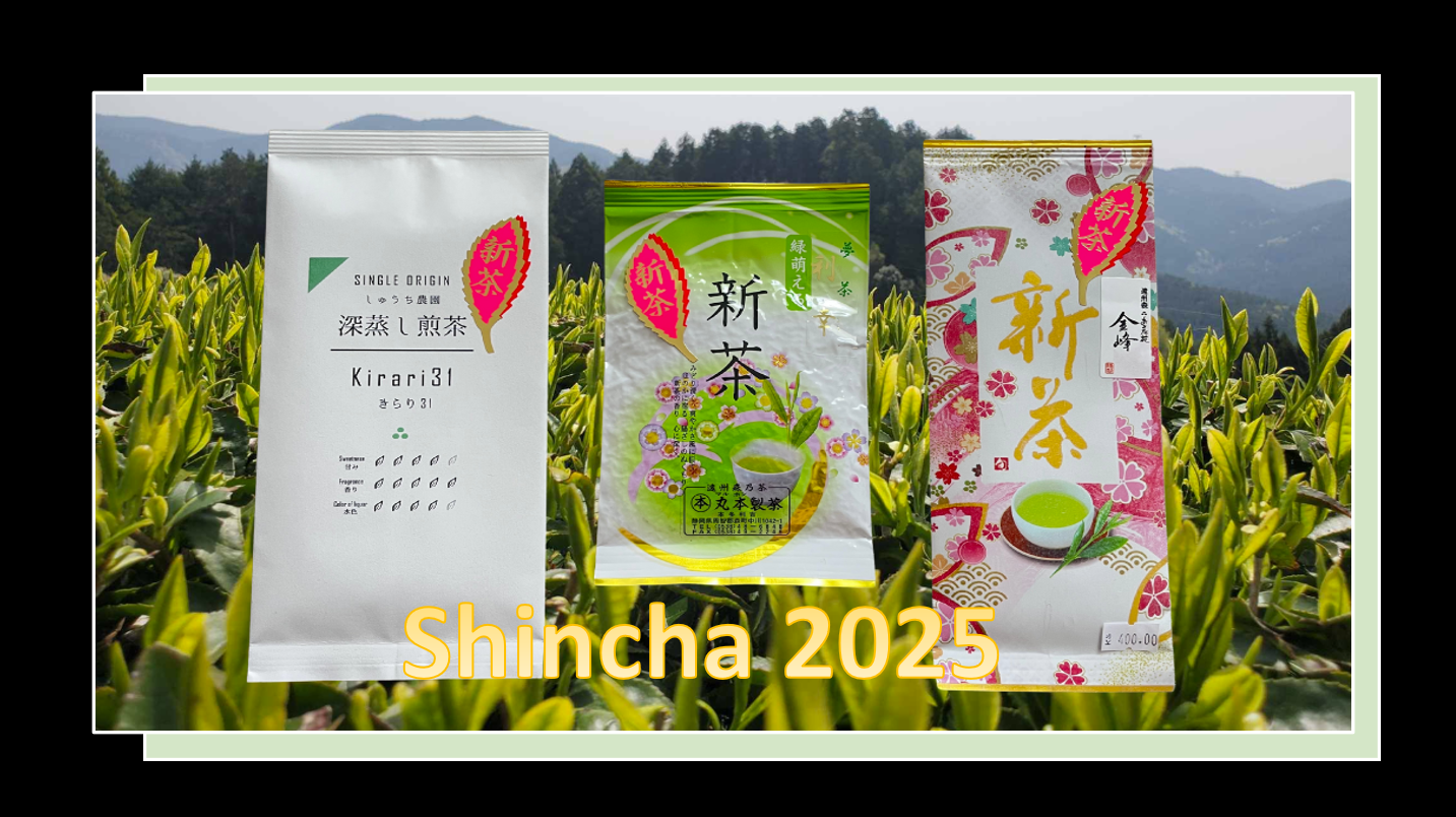 Shincha 2025