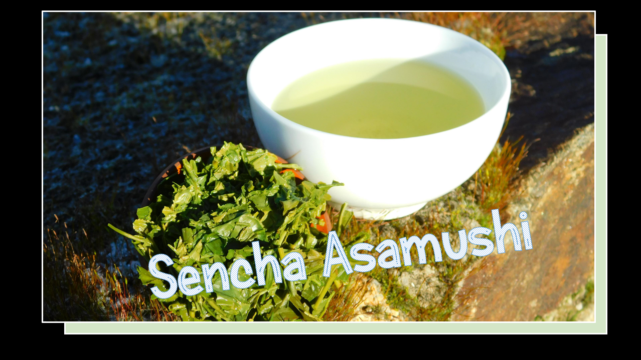 Sencha Asamushi