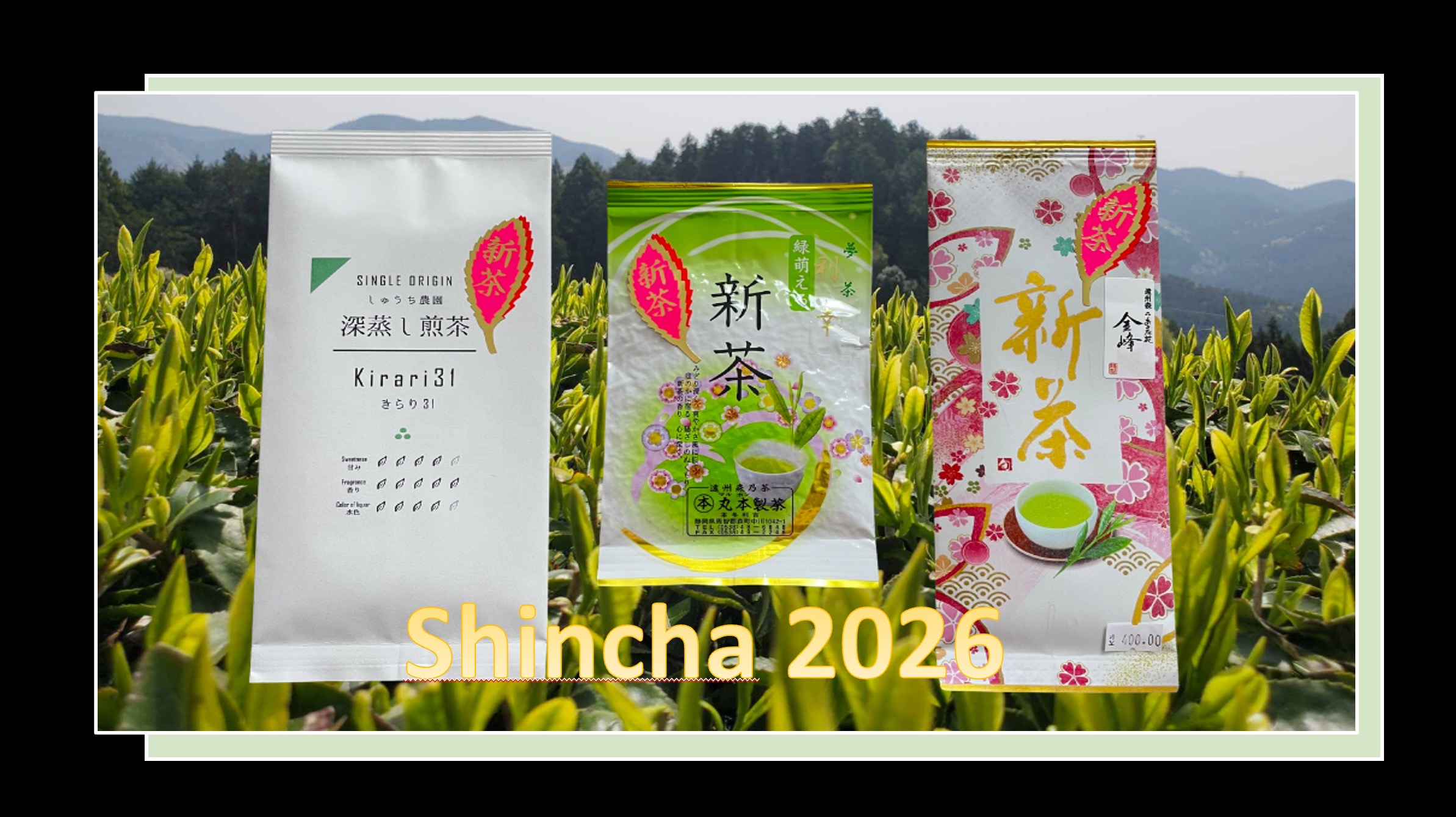 Shincha 2025