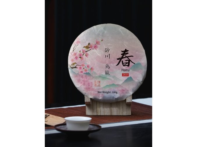 515081419 1279025640367592 5526223784552815725 n