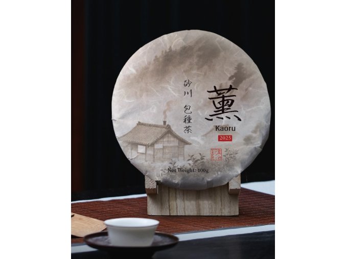 515296163 1279025633700926 6862578551203272991 n