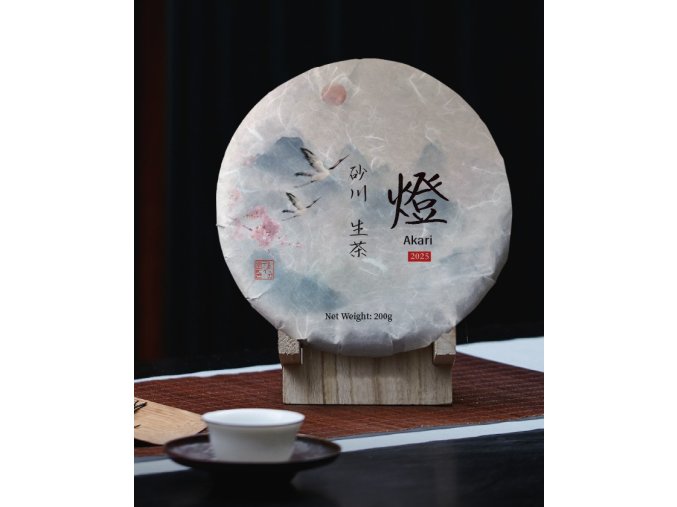 515883992 1279025637034259 5637206571231290993 n