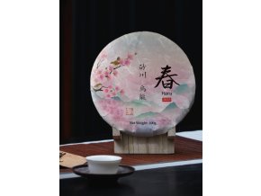 515081419 1279025640367592 5526223784552815725 n