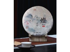 515883992 1279025637034259 5637206571231290993 n