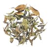 2024 Jin Xuan White tea 25g