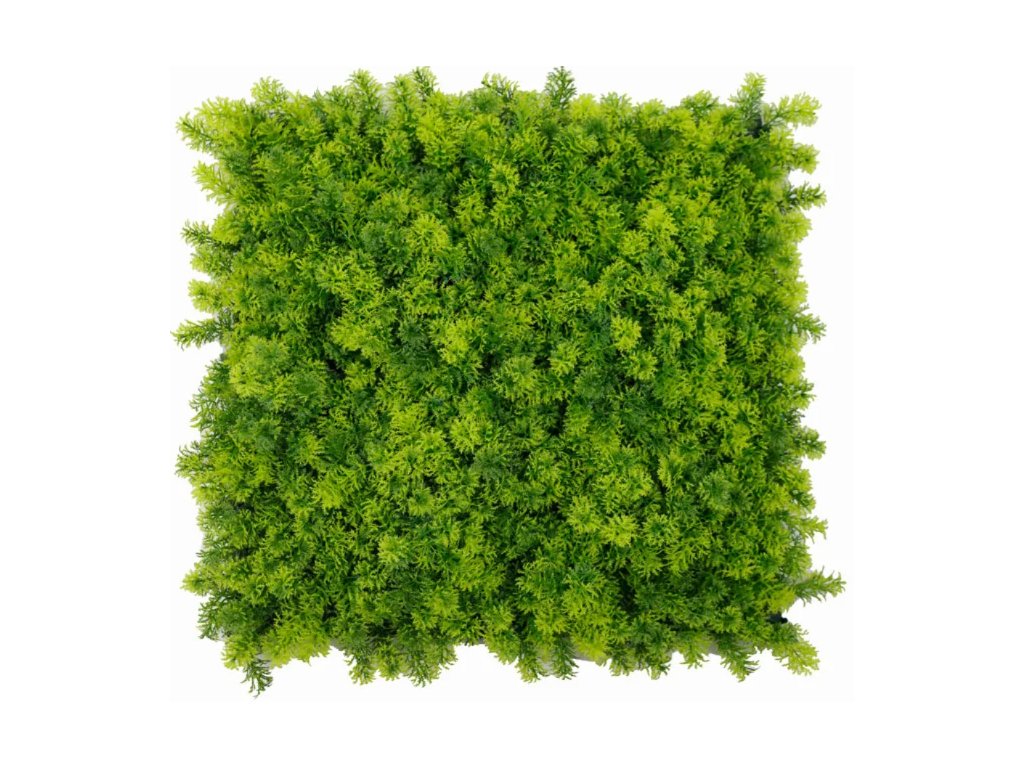 78161