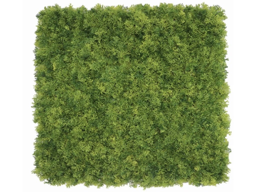78191