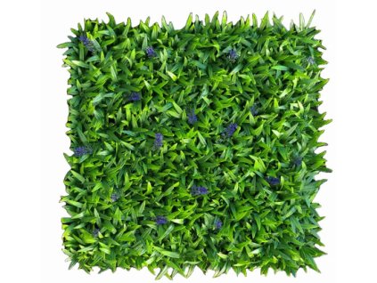 Snímek obrazovky 2024 01 17 192011