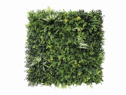 EF60119B 4403 4984 BBA9 A707B198B46E 1 201 a