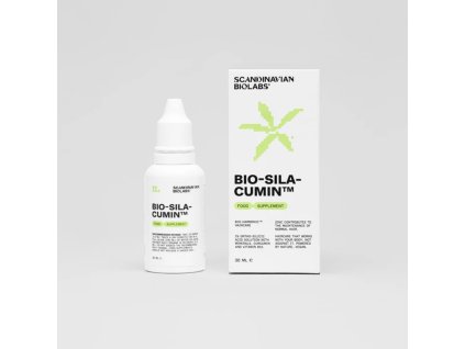 Snímek obrazovky 2024 12 30 v 17.57.41