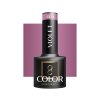 OCHO NAILS Hibrid Géllakk, körömlakk Violet 405 -5 g