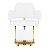 46102 1 kadernicke kreslo gabbiano linz nq bile zlate