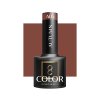OCHO NAILS Hibrid Géllakk, körömlakk autumn A05 -5 g