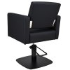 Premium BS styling chair 4