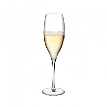 Terroir Set of 2 Champagne Glasses 2
