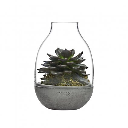 Eden Mini Terrarium Clear with Moulded Concrete Base 2