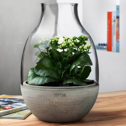 Eden Terrarium Clear with Moulded Concrete Base 4