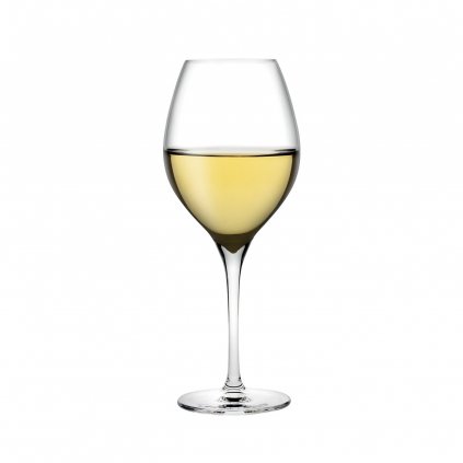 Vinifera Set of 2 White Wine Glasses 360 cc