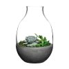 Eden Terrarium Clear with Moulded Concrete Base 3