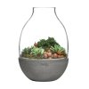 Eden Terrarium Clear with Moulded Concrete Base 2