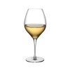Vinifera Set of 2 White Wine Glasses 600 cc 2