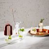 Hepburn Mixing Glass with Metal Stirrer + glasses 2