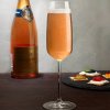 Mirage Set of 2 Champagne Glasses 3