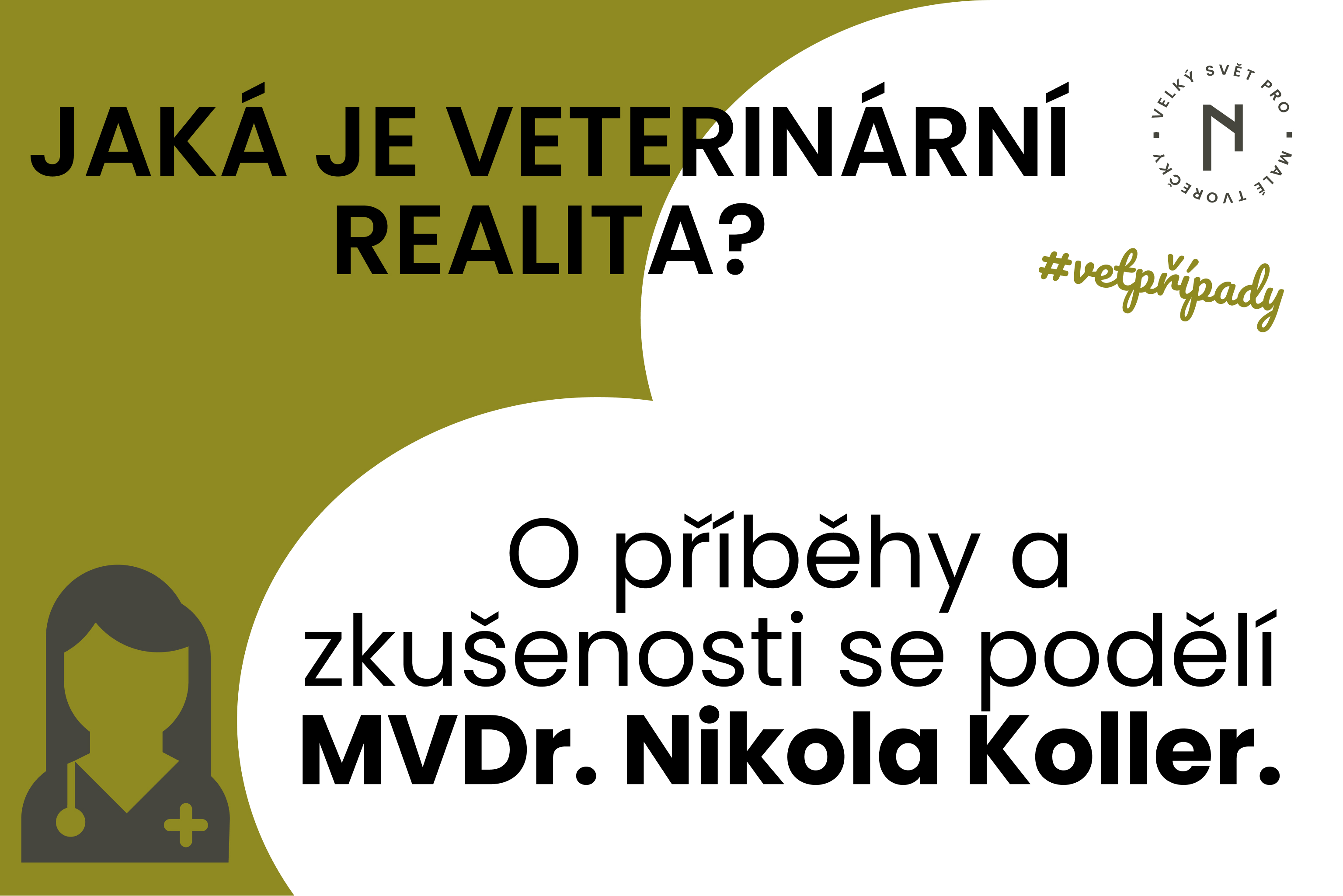 Myiáza - veterinární případy