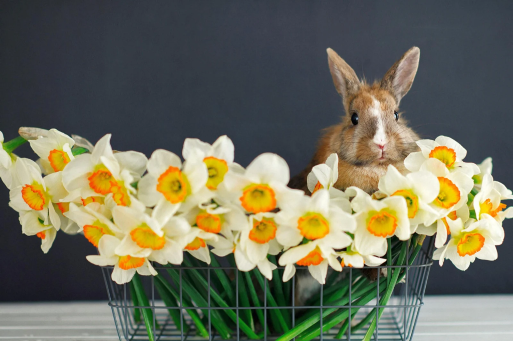 Pořídit, či nepořídit?