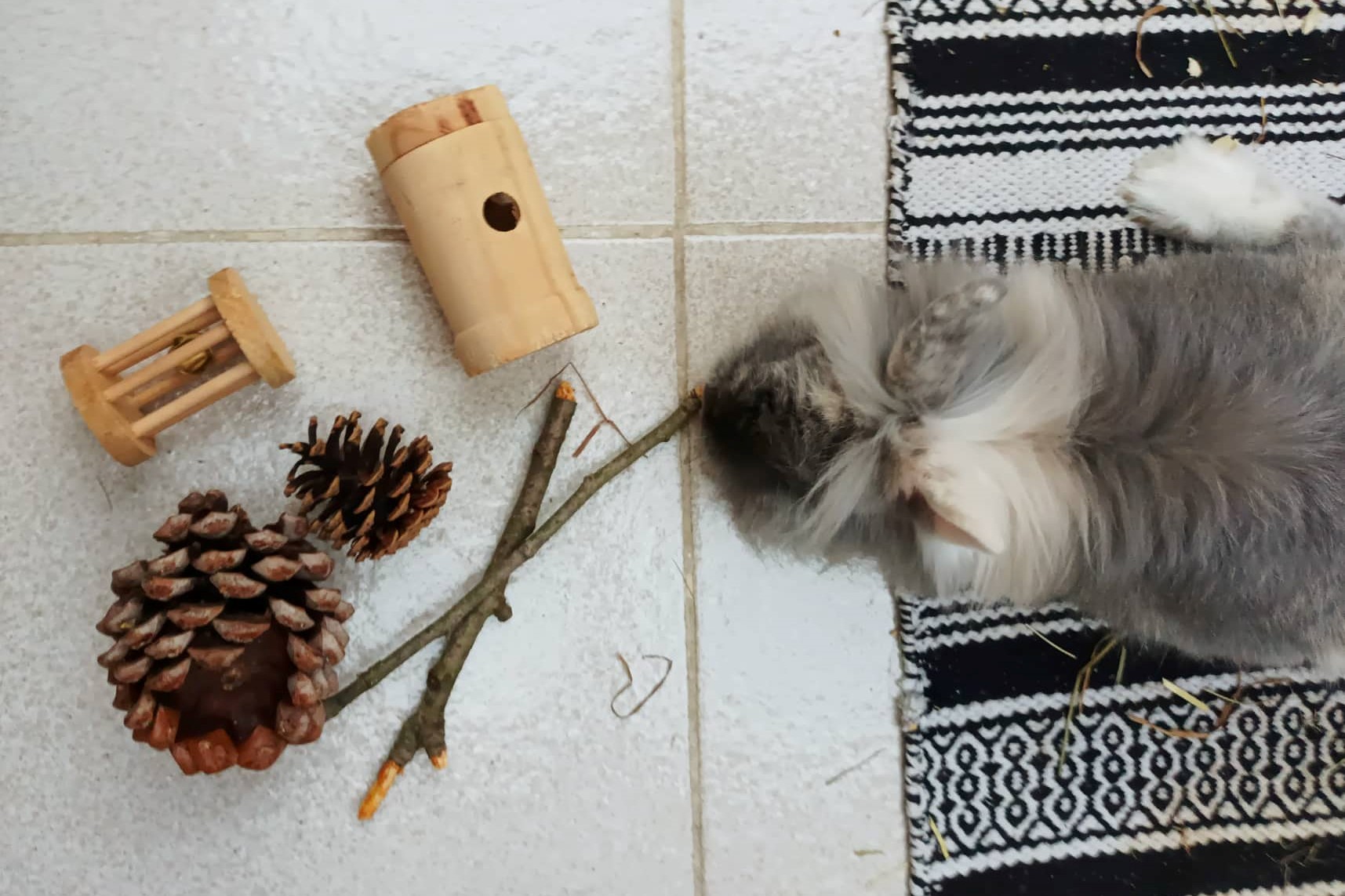 Hlodání a vše o něm, proč je pro ně tak důležité