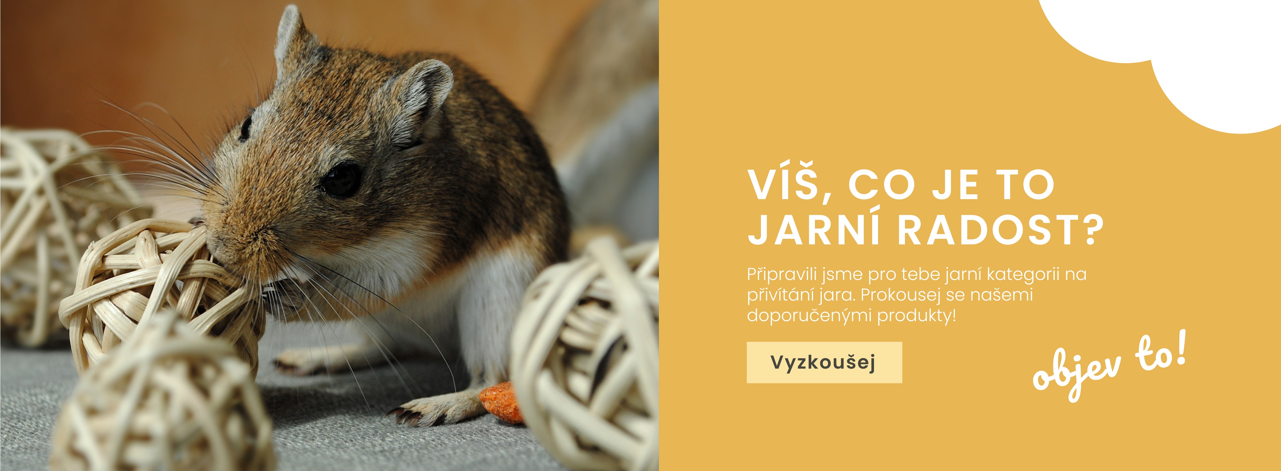 Jatní radosti