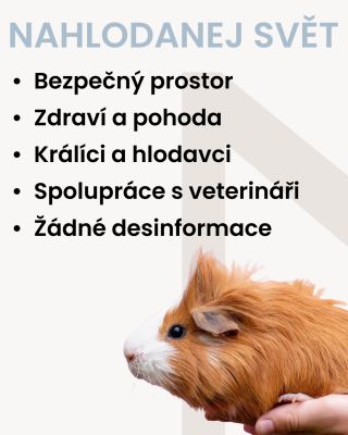 Nahlodanej svět je bezpečné místo, které tě provede tématikou zdraví a pohody tvých chlupáčů. Věnujeme se všem druhům...