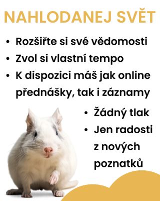 V Nahlodaném světě se můžeš vzdělávat vlastním tempem. Žádný tlak – online i offline prostředí můžeš využívat podle sebe....