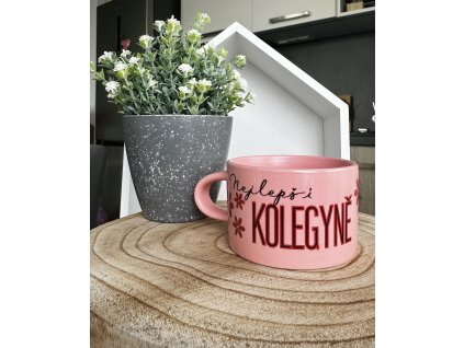 Nejlepší kolegyně