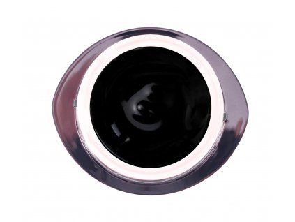 spider black