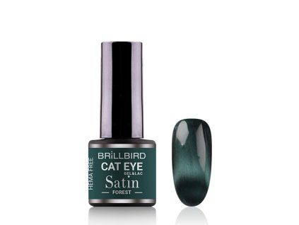 cateye forest 5999077688097