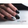 BrushGo02 (5)