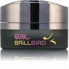 Gum gel