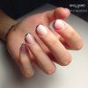 Futermilkyrose h16