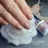 ManigelClear Hyp169