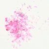 Chrome Flakes Pink