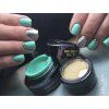 BrushGo53 (1)