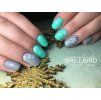 BrushGo53 93